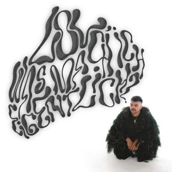 Joshy LOL was mach ich eigentlich 2023 24Bit 44 1kHz FLAC PMEDIA