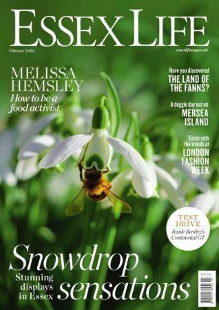 FreeCourseWeb Essex Life February 2020