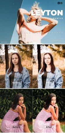 DesignOptimal Leyton Desktop and Mobile Lightroom Preset