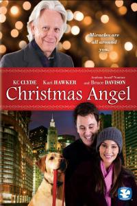Christmas Angel 2009 1080p WEBRip x265 RARBG