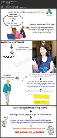 FreeCourseWeb Skillshare Facebook advertising ultimate guide for coaches consultants and local business owners