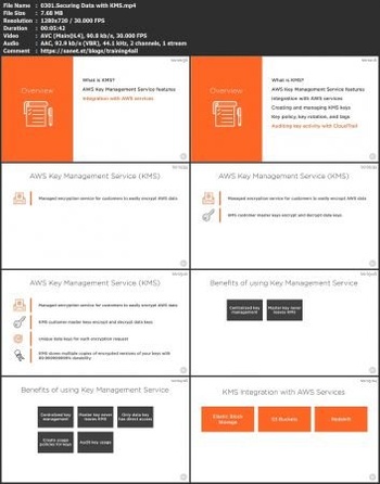 FreeCourseWeb PluralSight Securing Data on AWS