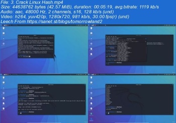 Udemy Ethical Hacking Crypto 101 DevCourseWeb