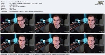 ProgrammingExpert io Programming With Go
