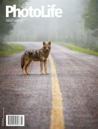 FreeCourseWeb Photo Life February March 2020