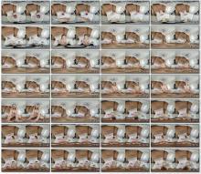 VirtualTaboo Lily Blossom Put Me To Bed Stepdaddy VR Porn 3630p