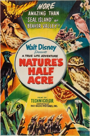Nature s Half Acre 1951 720p 10bit WEBRip x265 budgetbits
