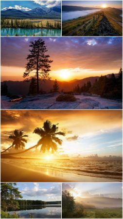 DesignOptimal Nature collection Part 104