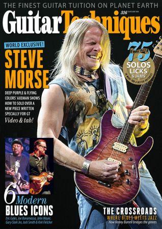 DevCourseWeb Guitar Techniques January 2021 True PDF