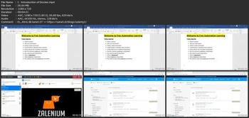 Udemy Learn Docker With Selenium Webdriver