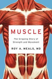 Muscle The Gripping Story of Strength and Movement by Roy A Meals EPUB