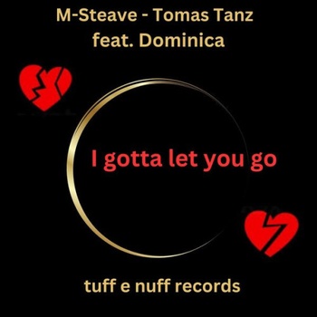 M Steave I Gotta Let You Go Radio Version 2023 24Bit 48kHz FLAC PMEDIA