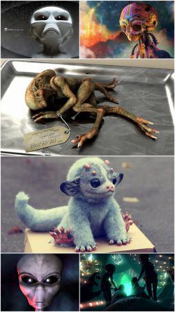 DesignOptimal Sci Fi collection Alien