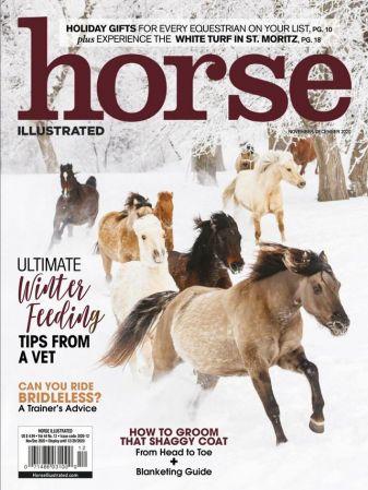 DevCourseWeb Horse Illustrated November December 2020