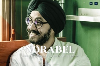 DesignOptimal Norabel Mobile and Desktop Lightroom Presets