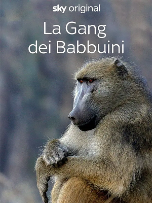 La Gang Dei Babbuini S01E04 Crescere in fretta DLMux 1080p E AC3 AC3 ITA mkv