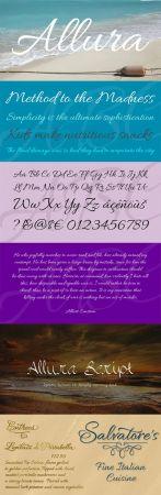 DesignOptimal Allura Calligraphy Script Font 2 Weight
