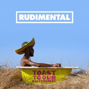 Rudimental Toast to our Differences Deluxe 2019 Flac