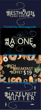 DesignOptimal Besthoven Font