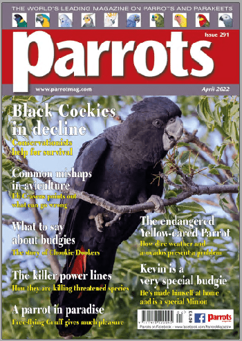 Parrots magazine Issue 291 April 2022