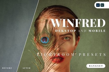 DesignOptimal Winfred Desktop and Mobile Lightroom Preset