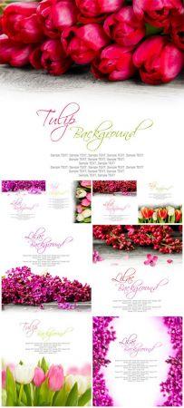 DesignOptimal Lilac and tulips stock photo