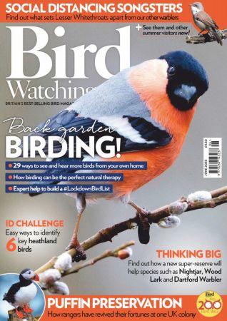 FreeCourseWeb Bird Watching UK June 2020
