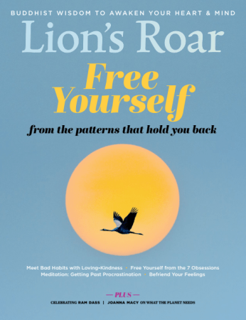 FreeCourseWeb Lion s Roar May 2020