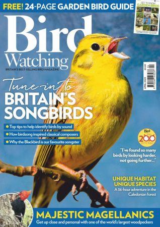 FreeCourseWeb Bird Watching UK April 2020