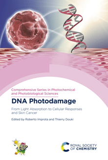 DNA Photodamage From Light Absorption to Cellular Responses and Skin Cancer