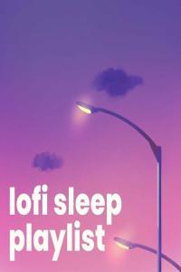 Various Artists lofi sleep playlist 2023 Mp3 320kbps PMEDIA