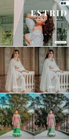 DesignOptimal Estrid Desktop and Mobile Lightroom Preset