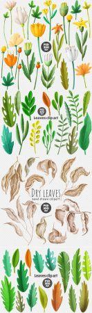 DesignOptimal Flowers and Leaves PSD