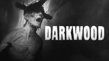 Darkwood 1 3 MULTi10 GOG GNU Linux Native