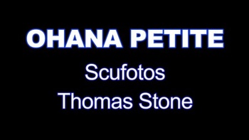 WoodmanCastingX Ohana Petite First DP for little slut with narrow ass 30 09 2023