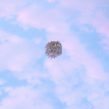 Laffey Clouded 2019 320kbs