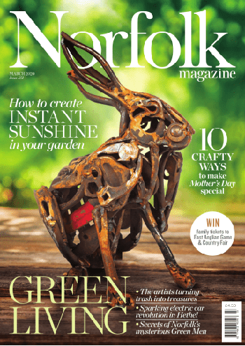 FreeCourseWeb EDP Norfolk March 2020