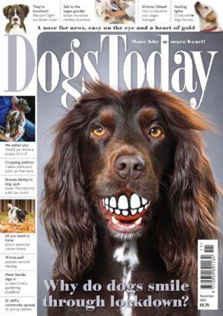 DevCourseWeb Dogs Today UK November 2020