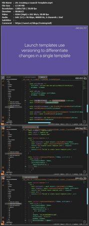 PluralSight AWS Developer Designing and Developing