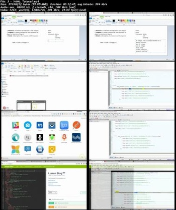 Udemy RESTful API web services testing and documentation with Swagger DevCourseWeb