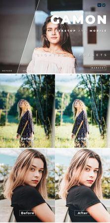 DesignOptimal Gamon Desktop and Mobile Lightroom Preset