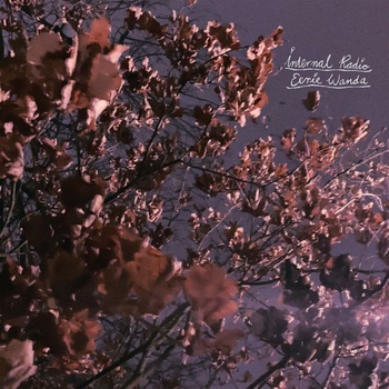 Eerie Wanda Internal Radio 2022 24Bit 44 1kHz FLAC PMEDIA