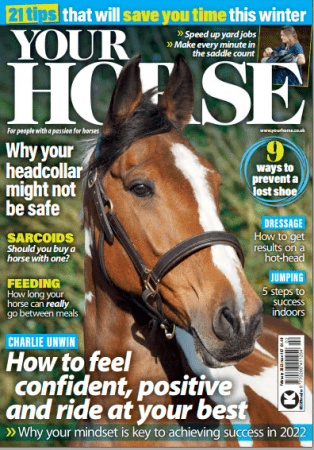 Your Horse February 2022