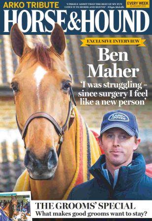 DevCourseWeb Horse Hound 28 January 2021