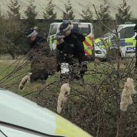 Gender Wars 2023 HDTV x264 TORRENTGALAXY