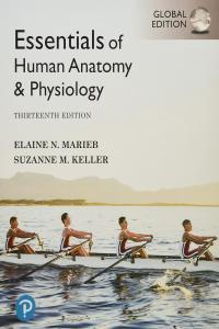 Essentials of Human Anatomy Physiology 13th Edition by Marieb