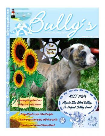 Bully s The Bulldog Magazine Summer 2022