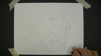 The Colored Pencil Drawing Course Basics