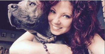 FreeCourseWeb Udemy Home Dog Care Business Dog Boarding Walking Pet Sitting