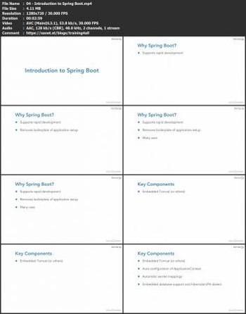 FreeCourseWeb Learning Spring with Spring Boot Released 12 2019